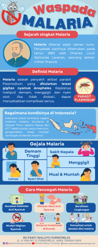INFOGRAFIS MARIA